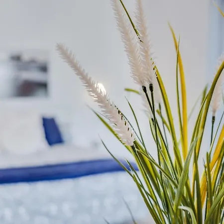 Casa Aloe * Arona (Tenerife)